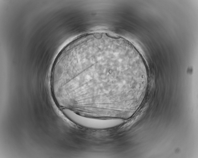 X0000099230957200805221833