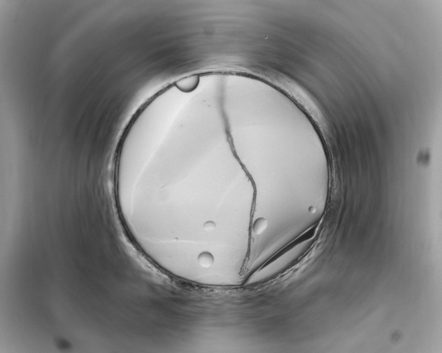 X0000099230958200805221833