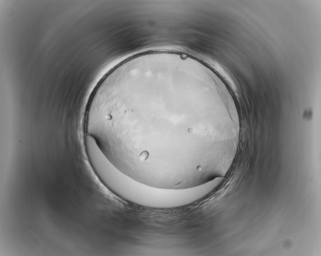 X0000099230959200805221833