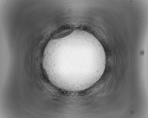 X0000099230961200805221833