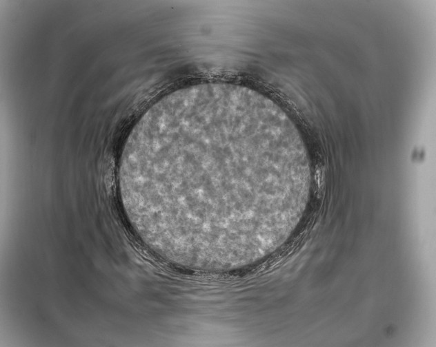 X0000099230963200805221833