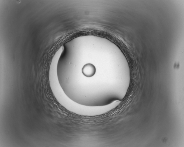 X0000099230965200805221833