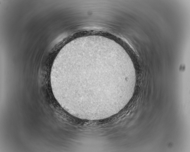 X0000099230967200805221833