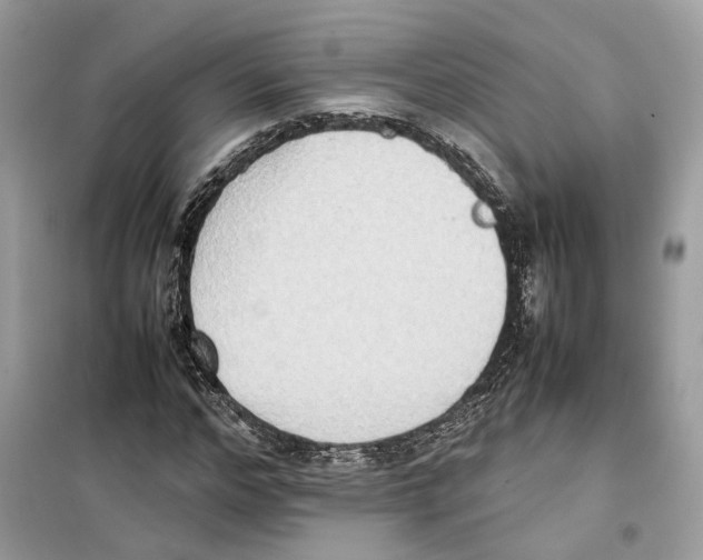 X0000099230968200805221833