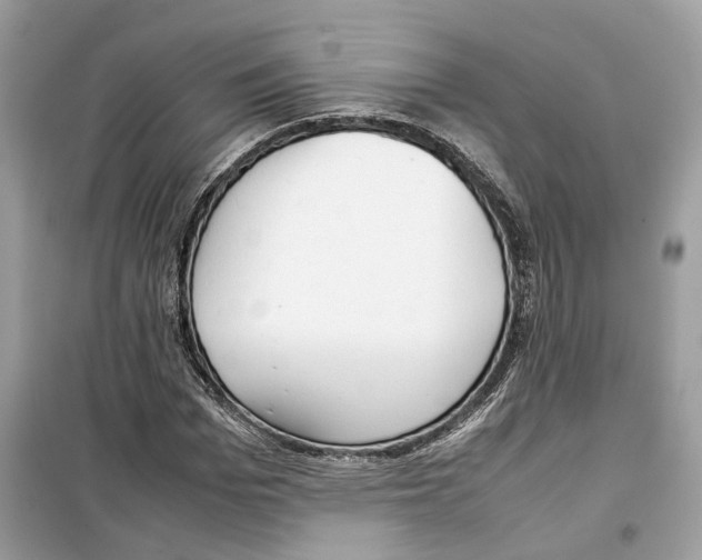 X0000099230969200805221833