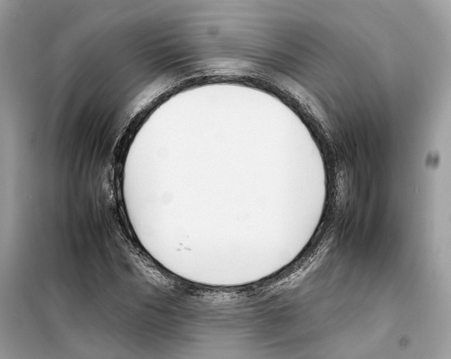 X0000099230970200805221833