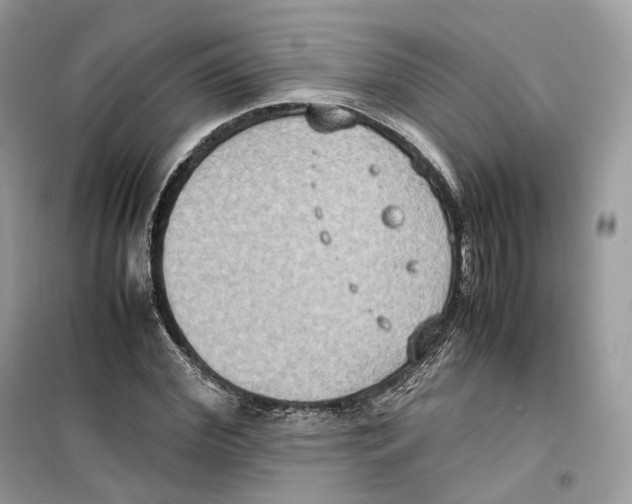 X0000099230972200805221833