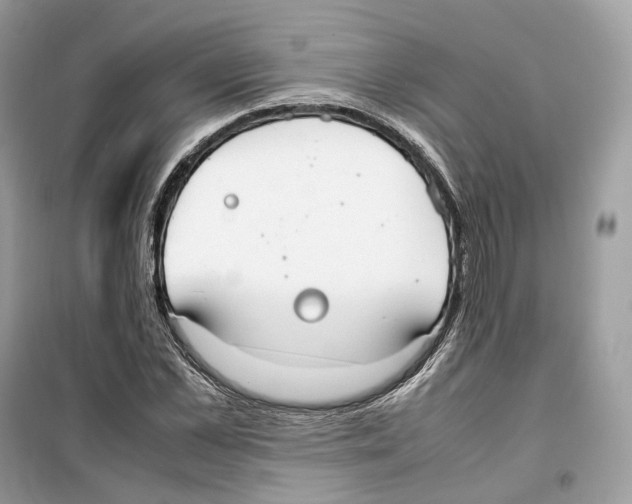 X0000099230973200805221833