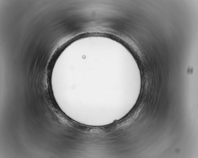 X0000099230974200805221833