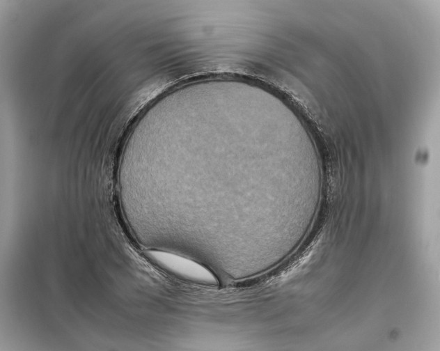 X0000099230977200805221833