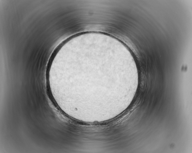 X0000099230980200805221833