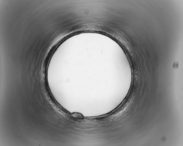 X0000099230981200805221833