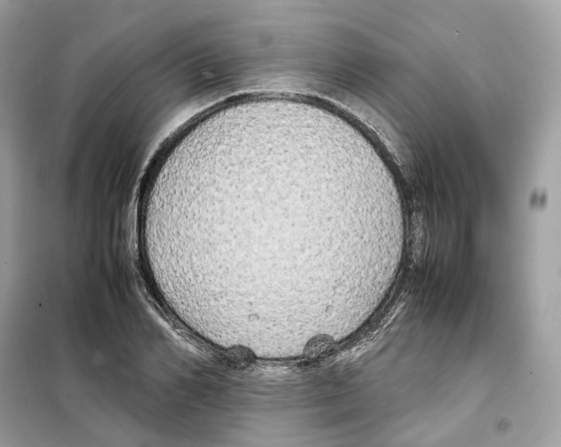 X0000099230982200805221833