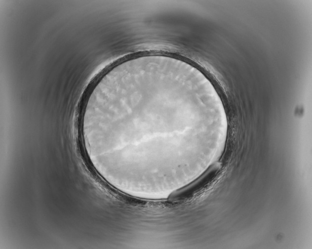 X0000099230983200805221833