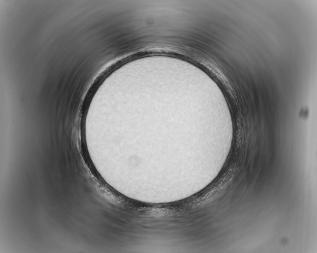 X0000099230984200805221832