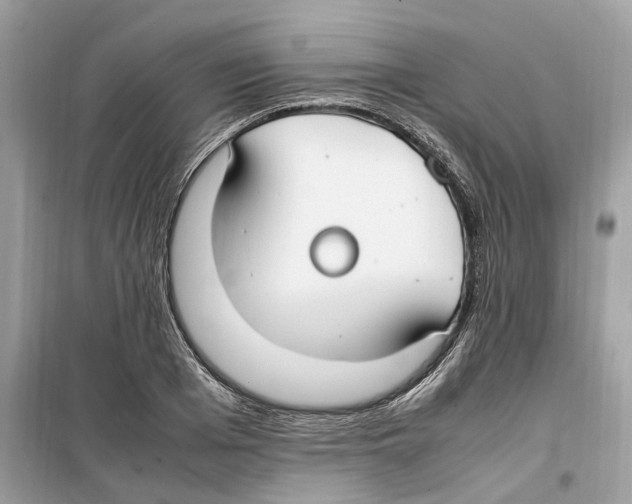 X0000099230985200805221832