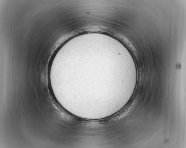 X0000099230986200805221832