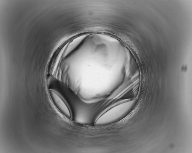 X0000099230989200805221832