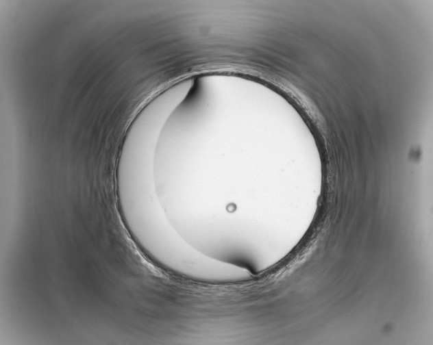 X0000099230993200805221832