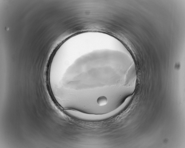 X0000099230995200805221832