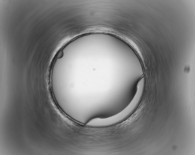 X0000099230997200805221832