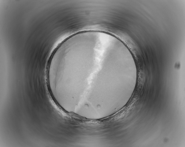 X0000099230998200805221832