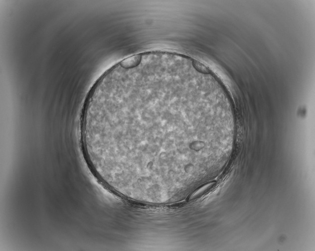 X0000099230999200805221832