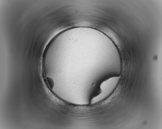 X0000099231000200805221832