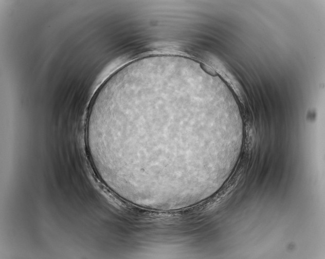 X0000099231002200805221832