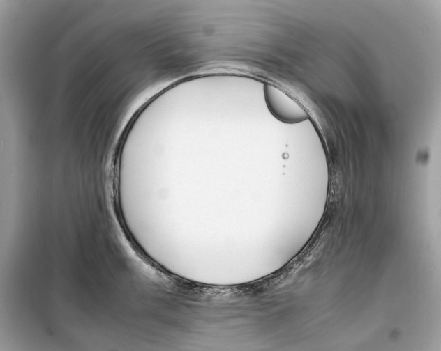 X0000099231003200805221832