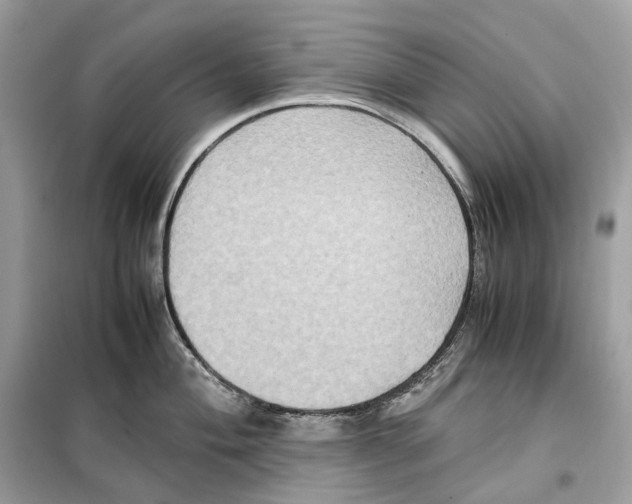 X0000099231004200805221832