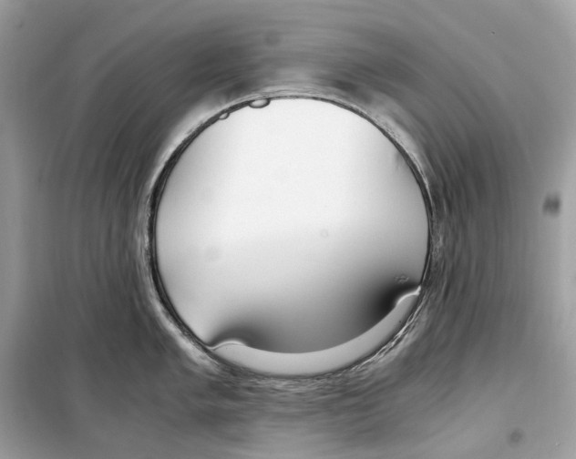 X0000099231005200805221832