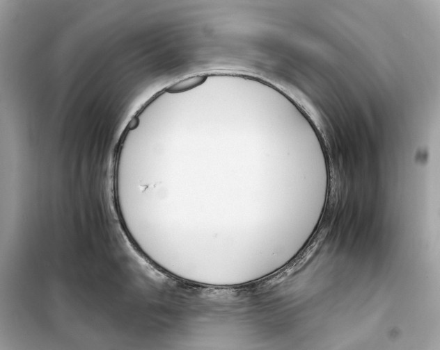 X0000099231006200805221832