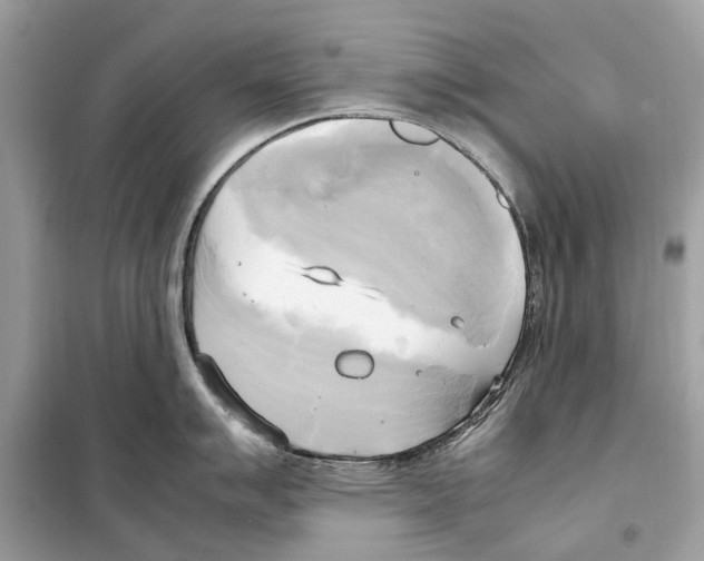 X0000099231007200805221832