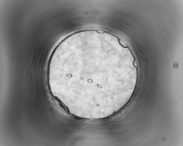 X0000099231008200805221832