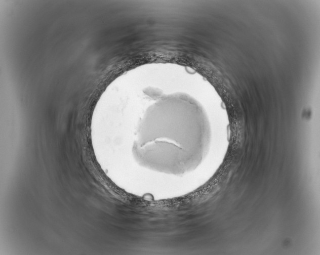 X0000099231009200805221831