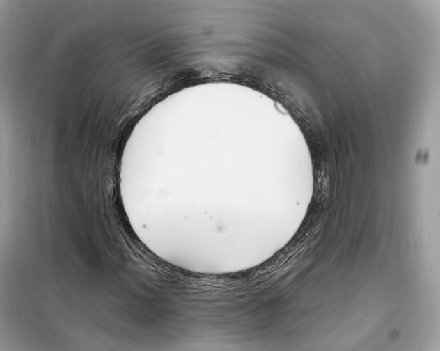 X0000099231012200805221831