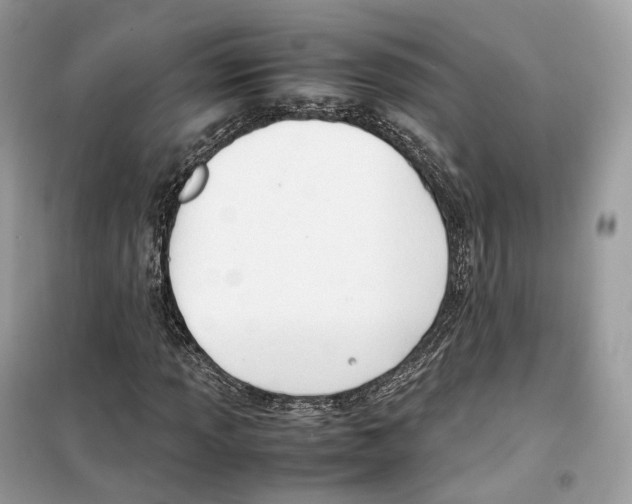 X0000099231013200805221831