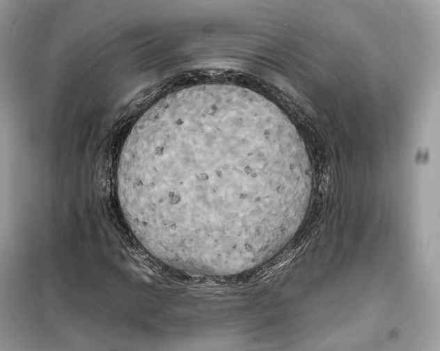 X0000099231014200805221831
