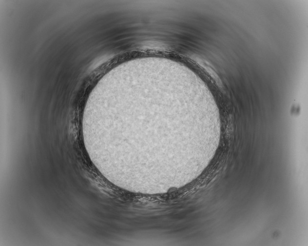 X0000099231015200805221831