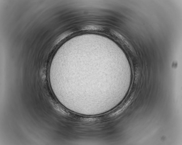 X0000099231017200805221831