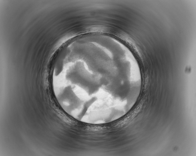 X0000099231019200805221831