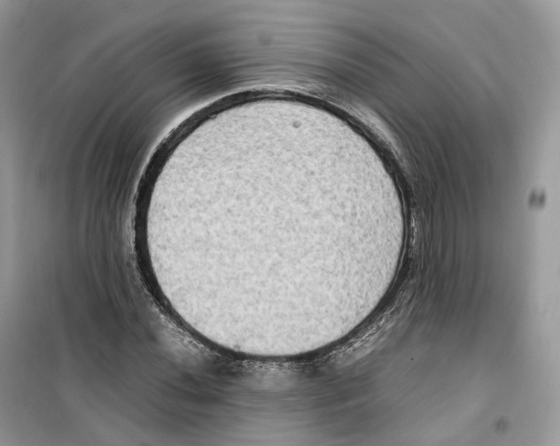 X0000099231020200805221831