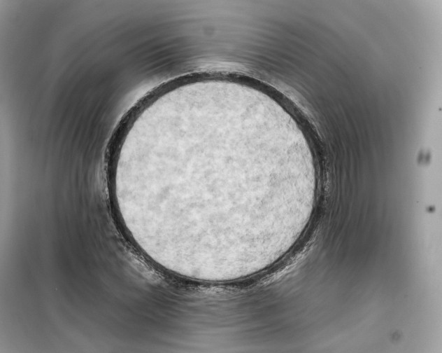 X0000099231022200805221832