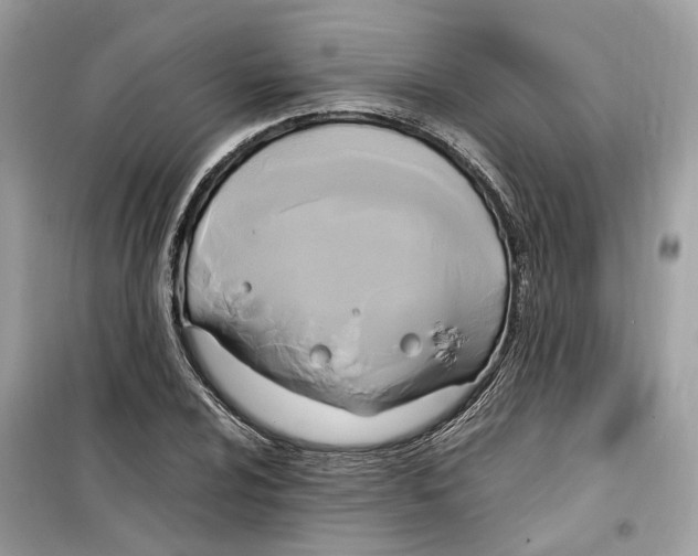 X0000099231024200805221832