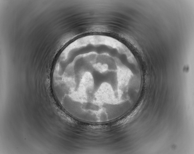 X0000099231025200805221832