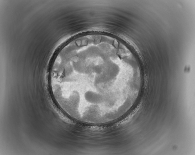 X0000099231029200805221832