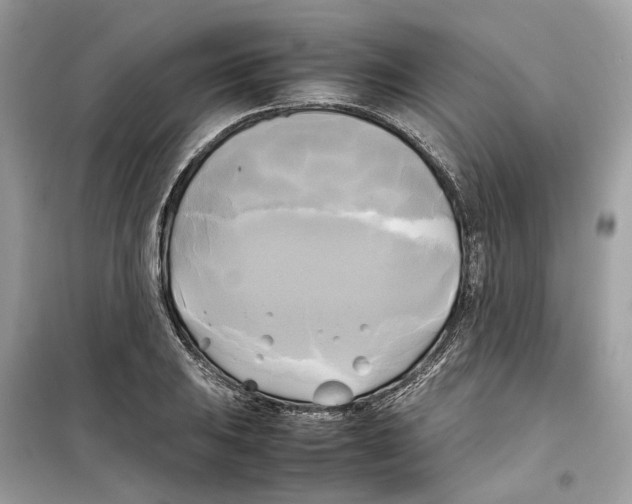 X0000099231031200805221832