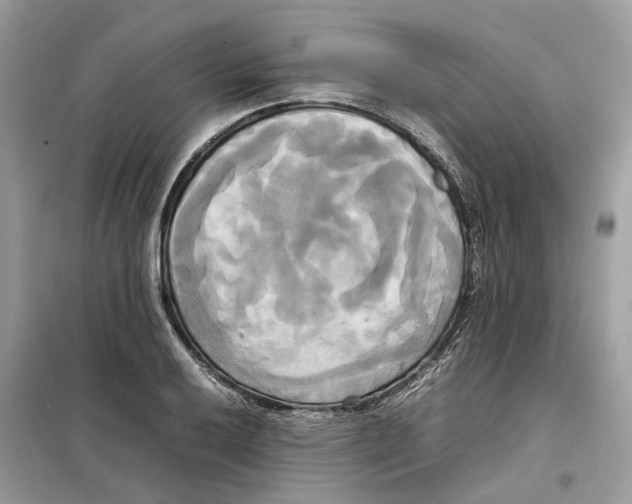 X0000099231032200805221832