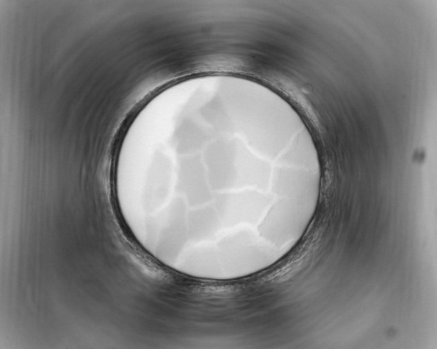 X0000099231035200805221832